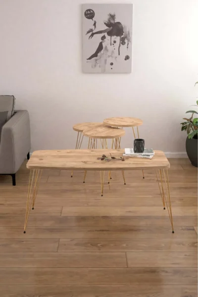 Zigon Sehpa Ve Orta Sehpa 3'lü Zigon Yuvarlak Sehpa Seti Tel Ayak Metal Sehpa Set