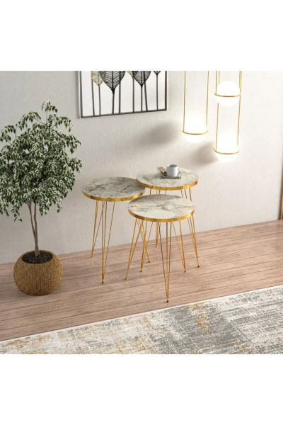 Efes Gold Metal Ayaklı Gold Detaylı Zigon Sehpa - Görsel 2
